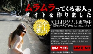 �����������Ă���f�l�މ�菇